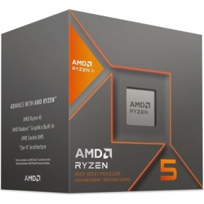 AMD Ryzen 5 8600G / 4.3 GHz processor - Box
