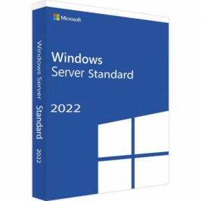 Dell Windows Server Standard 2022 ROK