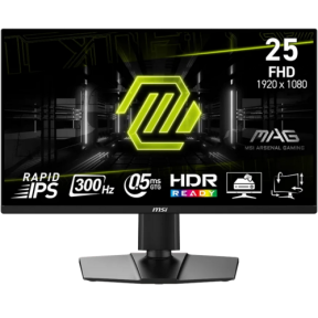 Monitor MAG 255PXF