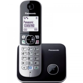 TELEFON FIX PANASONIC DECT KX-TG6811FXB