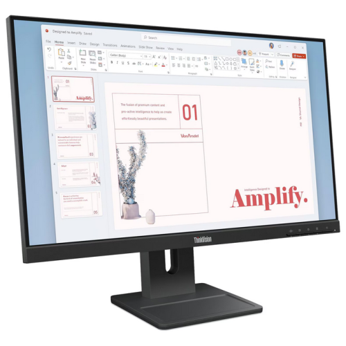 Monitor LED Lenovo ThinkVision E24-40, 23.8 inch, 1920 x 1080 pixeli, 4 ms GTG, Black