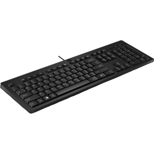 Tastatura HP 125 G2, USB, Black