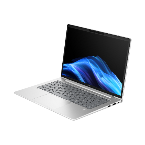 Laptop HP ProBook 4 G1iR, Intel Core 5 120U, 14 inch, RAM 16GB, SSD 512GB, Intel Graphics, Free DOS, Pike Silver