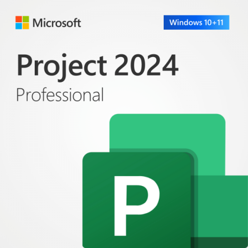 Microsoft Project Standard 2024 Online ESD Retail, 1 User