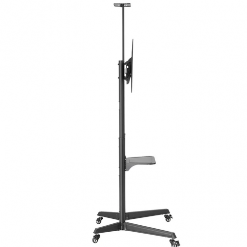 Stand TV Neomounts by Newstar FL50-550BL1, 37-70inch, Black