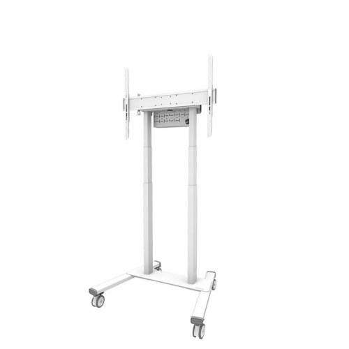 Stand TV Neomounts by Newstar FL55-875WH1, 37-100inch, White