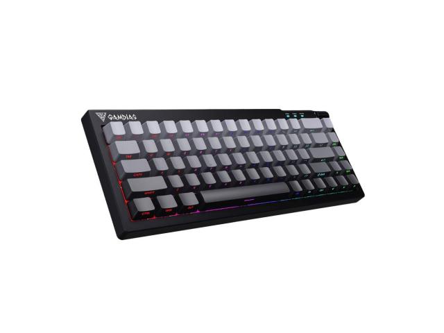 Gamdias HERMES E8 Gaming keyboard