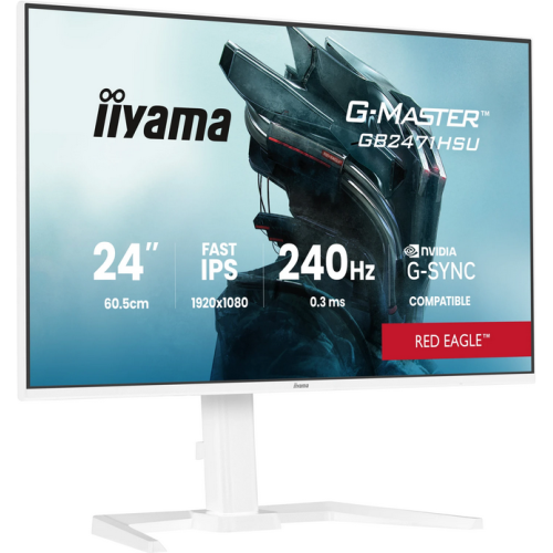 IIYAMA 60.5cm (24