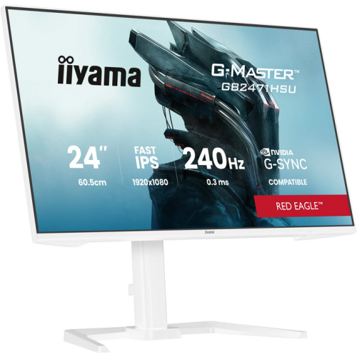 IIYAMA 60.5cm (24