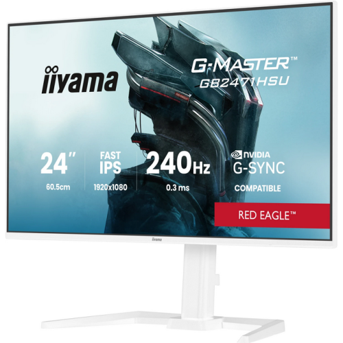 IIYAMA 60.5cm (24
