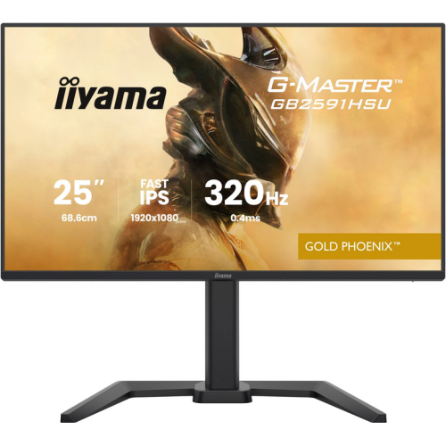 IIYAMA 68.6cm (24,5