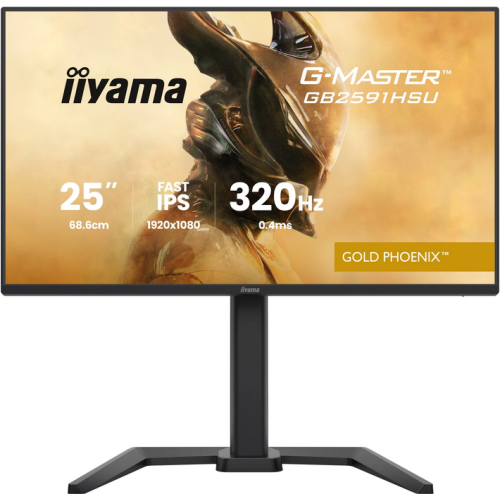 IIYAMA 68.6cm (24,5