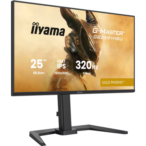 IIYAMA 68.6cm (24,5
