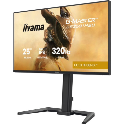 IIYAMA 68.6cm (24,5