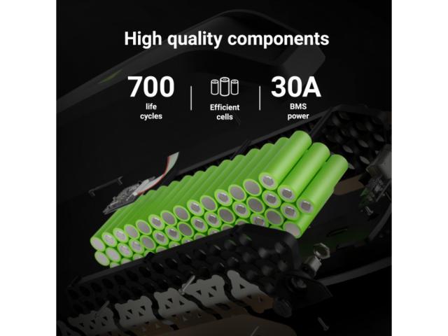 Green Cell® GC PowerMove E-Bike Battery 48V 14.5Ah Li-Ion Down Tube with Charger