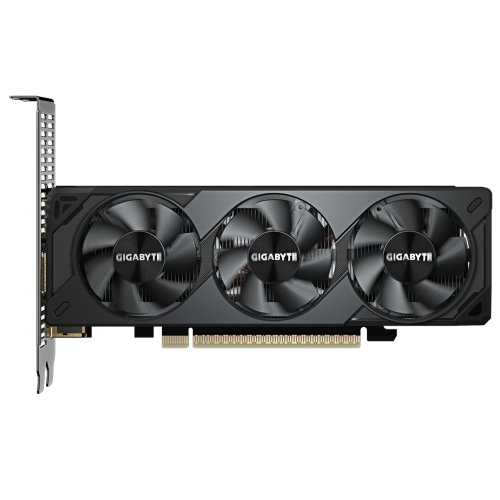 Placa video Gigabyte nVidia GeForce RTX 5050 Low Profile OC 8GB, GDDR6, 128 bit