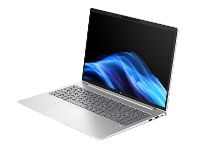 Laptop HP ProBook 4 G1ah, AMD Ryzen 5 220, 16 inch, RAM 16GB, SSD 512GB, AMD Radeon 740M, Windows 11 Pro, Pike Silver