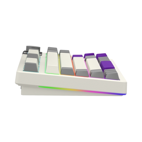 Tastatura LORGAR KBP70TKLW, RGB LED, USB/USB Wireless/Bluetooth, Beige
