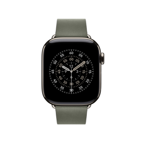 Curea SmartWatch Apple Modern Buckle, Small, 42 mm, Sage Grey