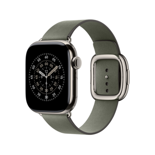 Curea SmartWatch Apple Modern Buckle, Small, 42 mm, Sage Grey