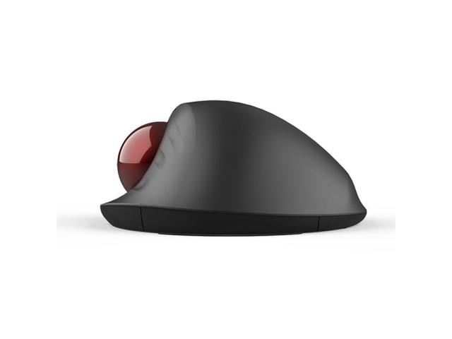 Mouse Optic Delux MT1, USB Wireless/Bluetooth, Black