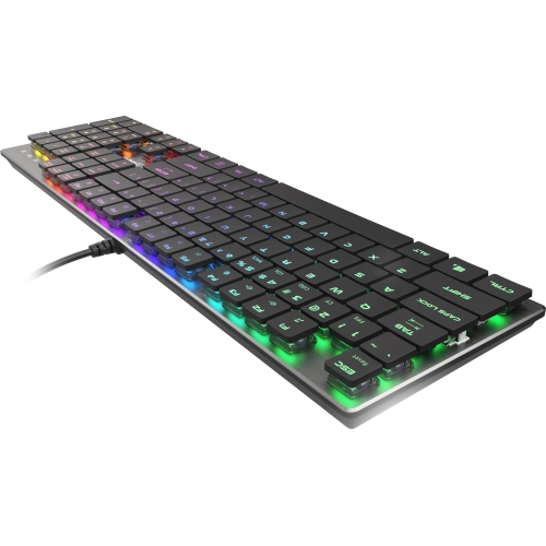 Tastatura Genesis Thor 420, RGB LED, USB, Black-Silver