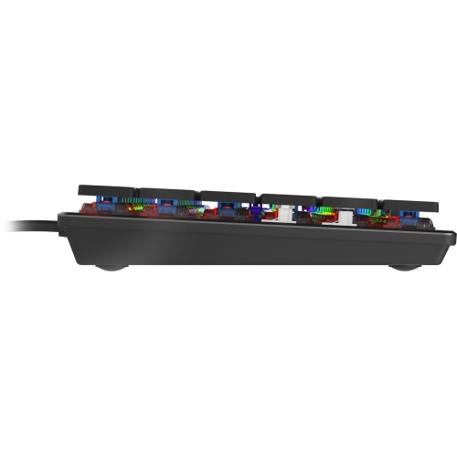 Tastatura Genesis Thor 420, RGB LED, USB, Black-Silver