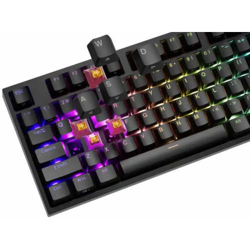 Tastatura Genesis Thor 404 P, RGB LED, USB, Black