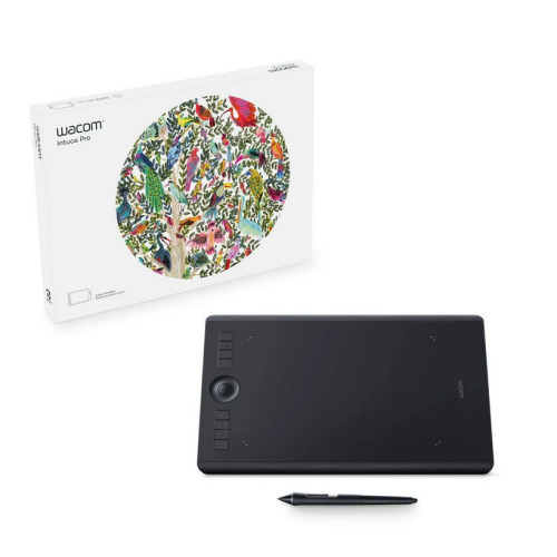 INTUOS PRO M SOUTH/IN