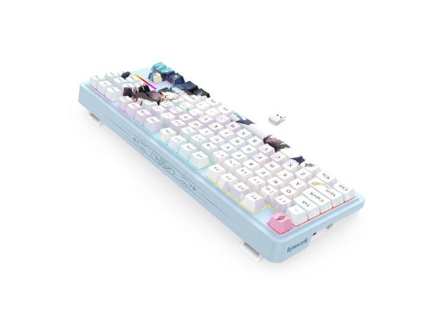 Redragon ANTONIUM PRO RGB AK Keyboard