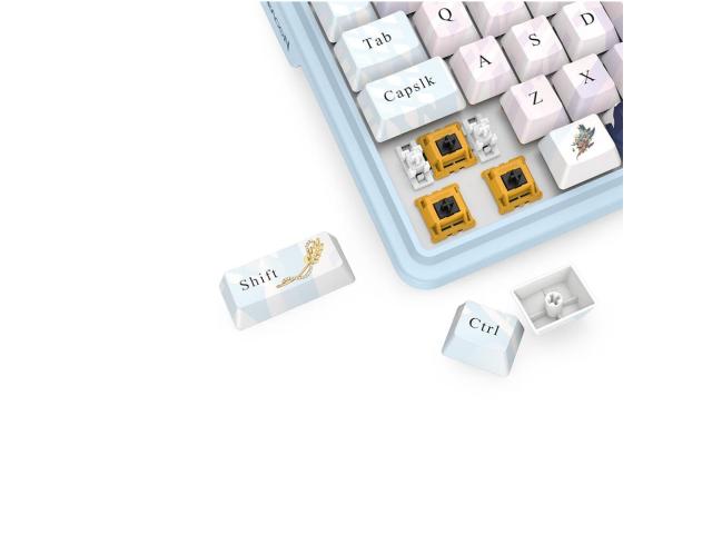 Redragon ANTONIUM PRO RGB AK Keyboard