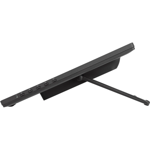 T2455MSC-B2 24IN 1920X1080/10P IPS PANEL HDMI 360CD/M2