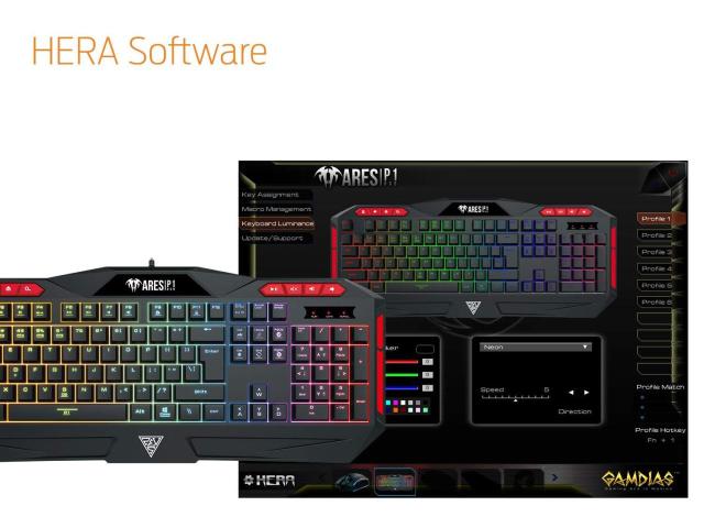 Tastatura Gamdias Ares P1 RGB LED, USB, Black
