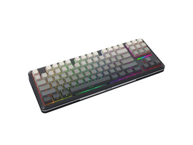 Tastatura gaming mecanica Bluetooth cu si fara fir Redragon Wildslash Pro neagra cu gri degrade iluminare RGB
