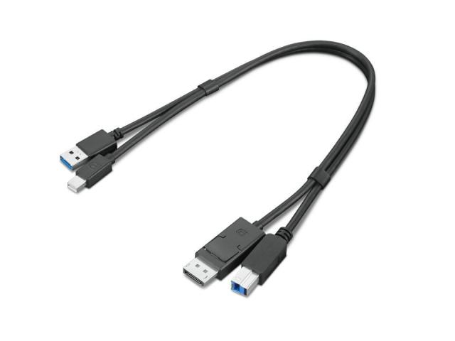 Cablu Lenovo ThinkStation 4X91D11453, Mini DisplayPort male + DisplayPort - USB-A + USB-B, Black