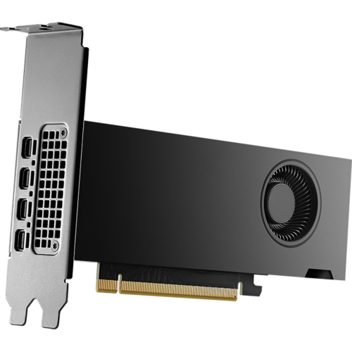 Placa video profesionala PNY nVidia RTX 2000 Ada Generation 16GB, GDDR6, 128bit
